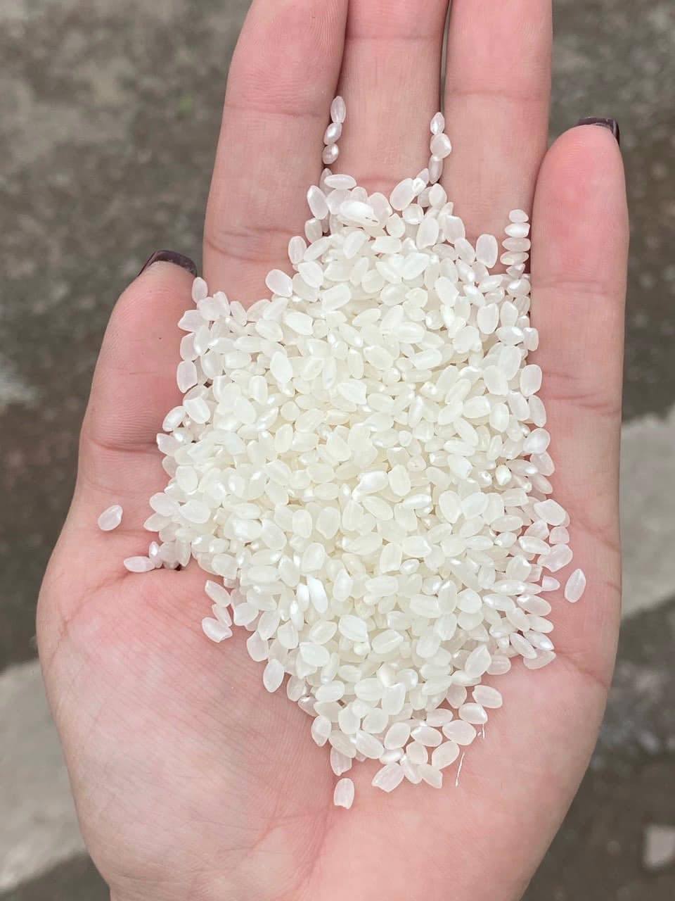 ❤️❤️❤️🎌日本米🎌 ❤️❤️❤️